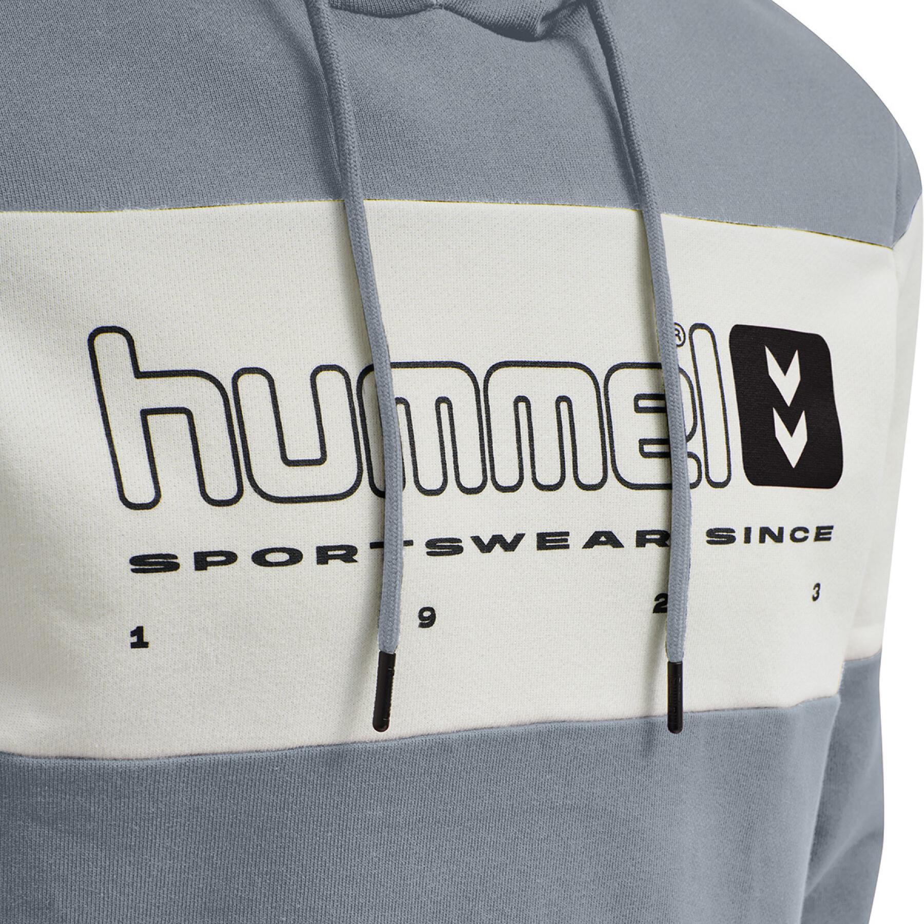 Sweatshirt mit Kapuze Hummel hmlLGC musa