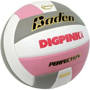 Volleyball Baden Sports Perfection