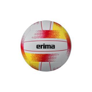 Volleyball Erima Allround