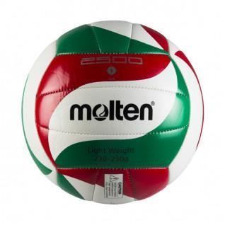 Trainingsball Molten V5M2501-L