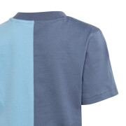 Set aus T-Shirt und Shorts adidas Essentials Colorblock