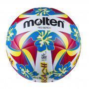 Satz mit 5 Luftballons Molten Beach-volley 
