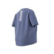 Damen-T-Shirt adidas Training 3-Stripes Aeroready (Grandes tailles)