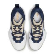 Schuhe Nike Jordan ZION 1