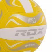 Volleyball Rox R-Ibero