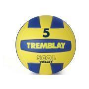 Tremblay Volleyball